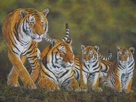 Tiger oil painting