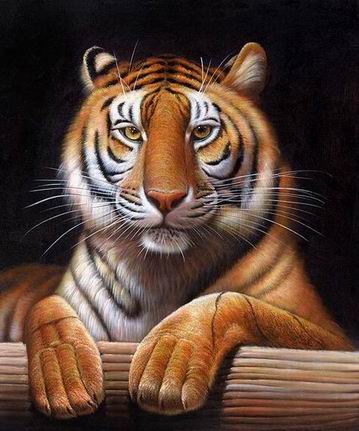 Tiger oil painting