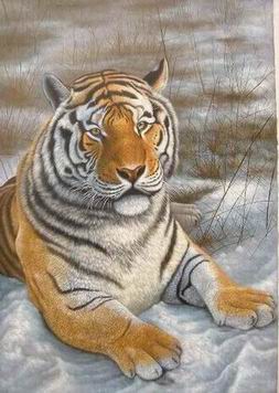 Tiger oil painting