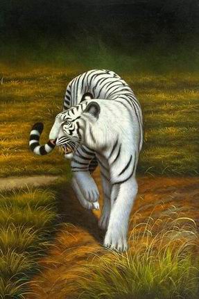 Tiger oil painting