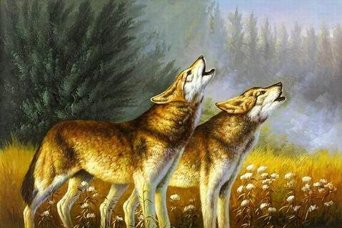 Wolf oil painting