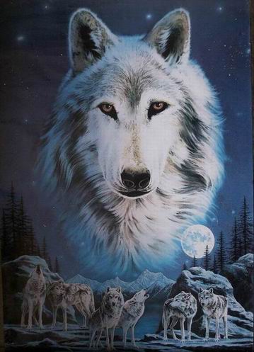 Wolf oil painting