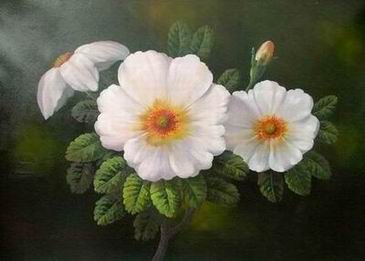 Flower A oil painting