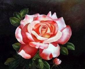 Flower A oil painting