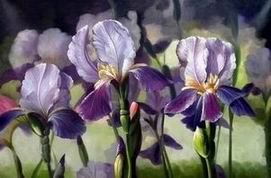 Flower A oil painting