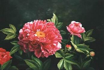 Flower A oil painting