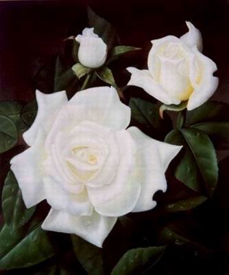 Flower A oil painting