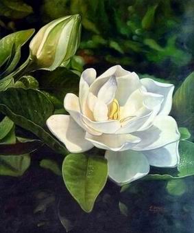 Flower A oil painting