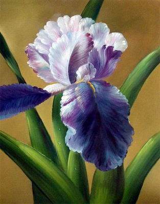 Flower A oil painting