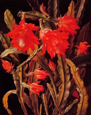 Flower A oil painting