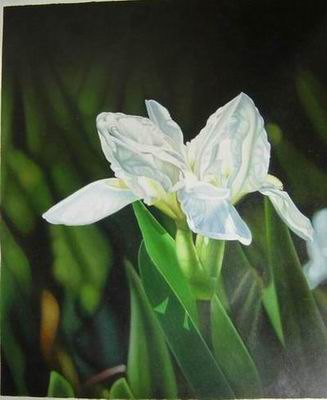 Flower A oil painting