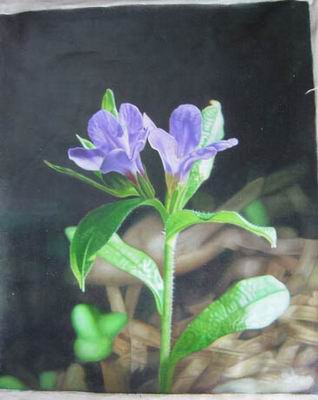Flower A oil painting