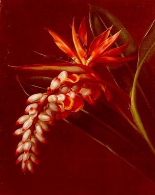 Flower A oil painting