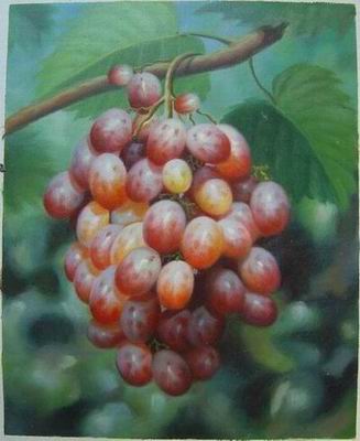 Grape oil painting