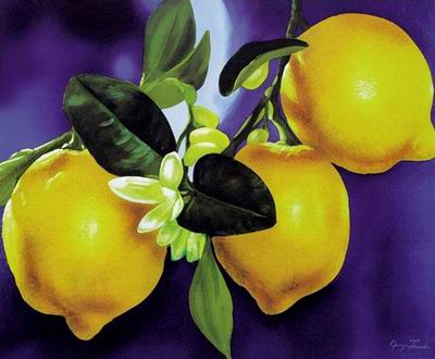 Still life oil painting