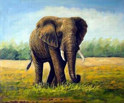 Animal oil painting