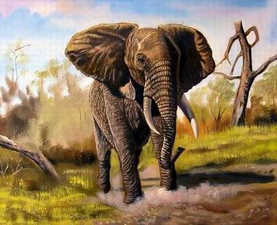 Animal oil painting