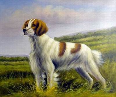 Animal oil painting