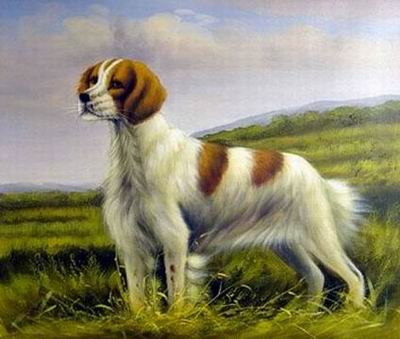 Animal oil painting