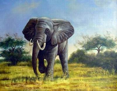 Animal oil painting