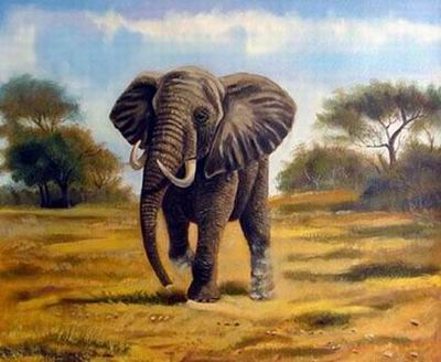 Animal oil painting