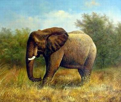 Animal oil painting