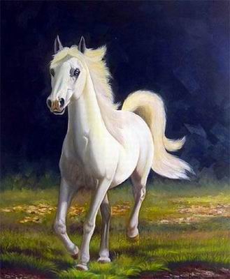 Animal oil painting