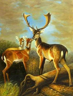 Animal oil painting