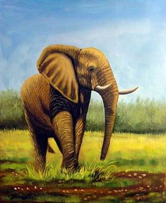 Animal oil painting
