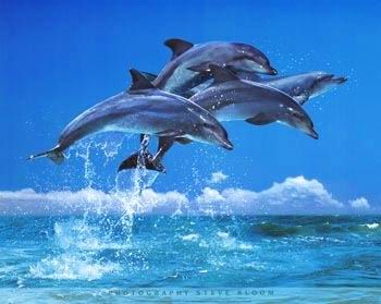 Fantasy oil painting