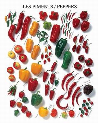 Kitchen oil painting