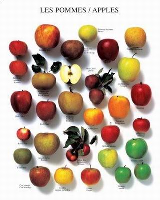 Kitchen oil painting