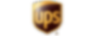 UPS Express